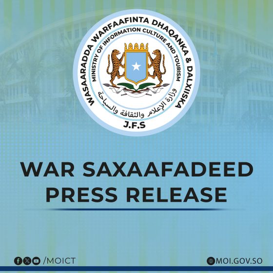 Press Release: Airstrike Targets al-Shabaab Terrorists