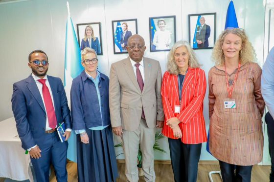 Minister of Information, Culture and Tourism Meets EU Ambassador to Somalia