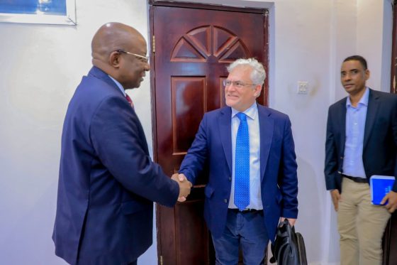 Minister of Information Meets UNDP Resident Representative