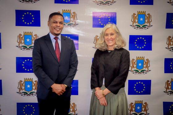 Minister of Information, Culture and Tourism Meets the European Union Ambassador to Somalia